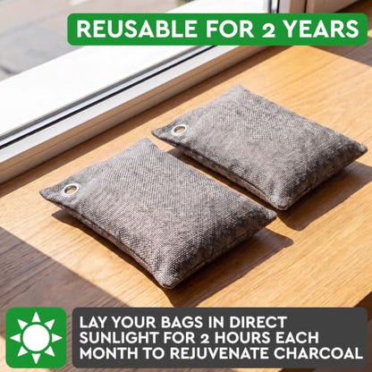 Activated Charcoal Odor Absorber for Strong Odors in Car