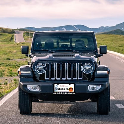 Black and White Flame License Plate Frame Stainless Steel 6.3 X 12.2 Inch (Black And White Flame)