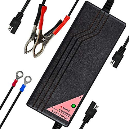 12.8V 5A Smart Charger for Lithium LiFePO4 Deep Cycle Rechargeable Batteries (5 Amp)