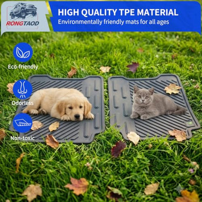 Trunk Mat & Backrest Mats for 2021