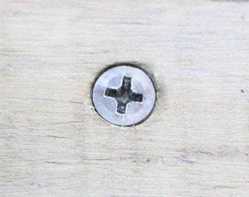 8 X 1'' Stainless Flat Head Phillips Wood Screw (#8 X 1'')