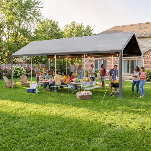 13x25 FT Heavy Duty Carport (13x25 FT(Black))