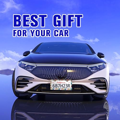 Funny Cat Pet License Plate Frame Stainless Steel Car Parts 2 Hole 6x12 in (Funny Cat)