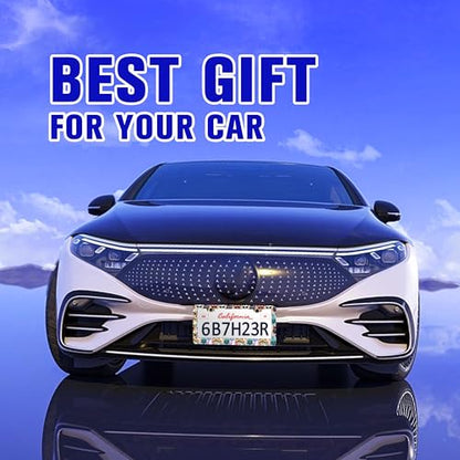 Funny Cat Pet License Plate Frame Stainless Steel Car Parts 2 Hole 6x12 in (Funny Cat)
