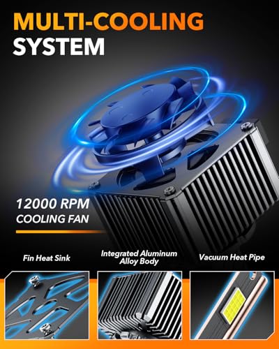 2025 Latest D3S D3R LED Bulbs (D3S D3R)
