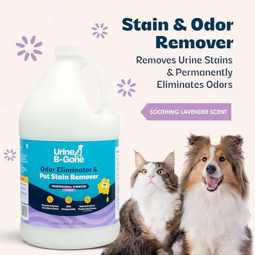 Urine B Gone Enzyme Cleaner for Human (128 Fl Oz (Pack of 1))