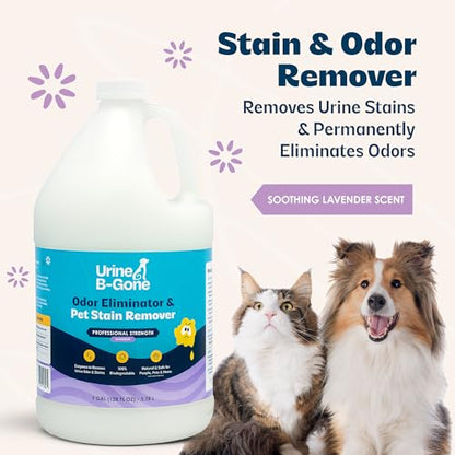 Urine B Gone Enzyme Cleaner for Human (128 Fl Oz (Pack of 1))