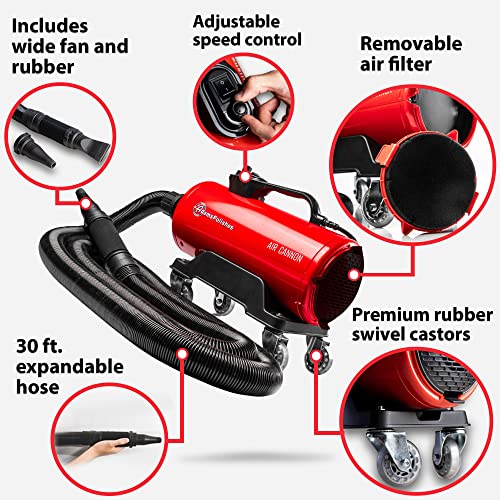 Air Cannon Car Dryer Blower (Air Cannon)