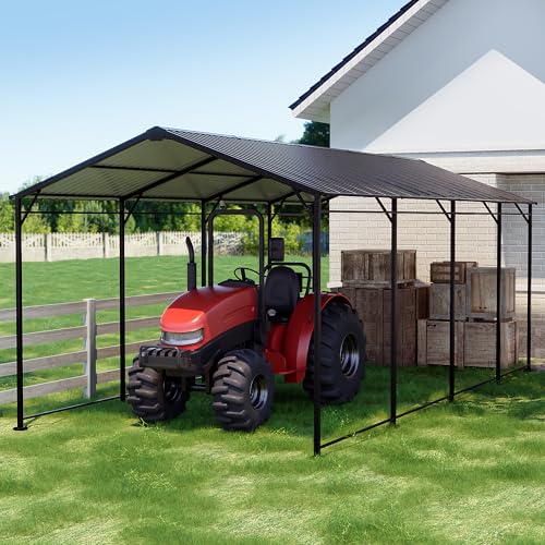10x20 FT Metal Carport