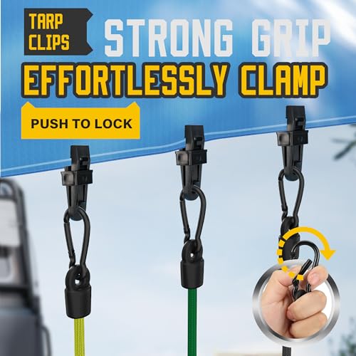 Bungee Cords with Hooks (Black / 30-Pack Assortment - Black)