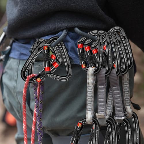 Auto Locking Carabiner Clips (2 Black+Red)