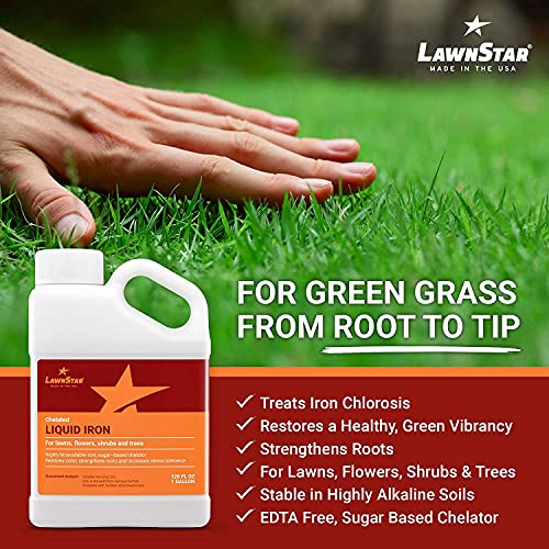 Liquid Iron for Lawns (1 Gallon (Pack of 1))