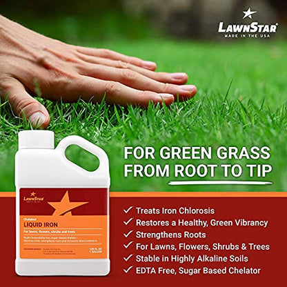 Liquid Iron for Lawns (1 Gallon (Pack of 1))