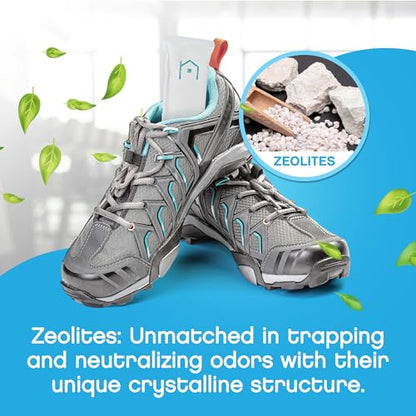 Shoe Deodorizer (1 Count (Pack of 2))