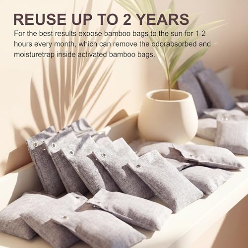 24 Pcs Activated Charcoal Odor Absorber 50g (Grey)