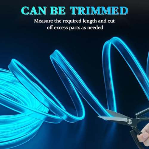 EL Wire Car Interior LED Strips Lights (Blue)