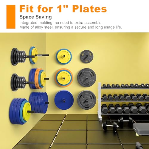 Weight Plate Rack (1-inch-5 PACK)