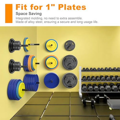 Weight Plate Rack (1-inch-5 PACK)