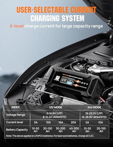 12V 24V 20A Smart Battery Charger for Lead