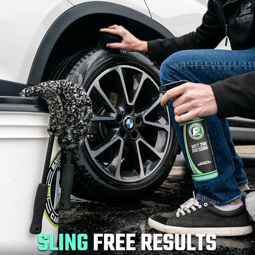 Wet Tire Dressing Spray (16 Fl Oz (Pack of 1))