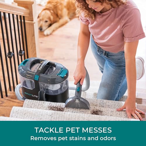 KS1010 Deep Clean & Revitalize Pet Carpet Cleaner Formula