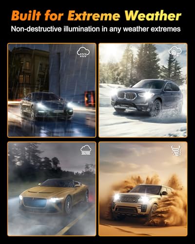 D1S HID Headlights Bulbs (D1S)