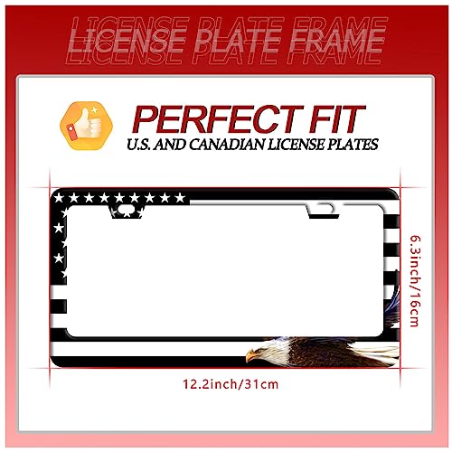American Flag Eagle License Plate Stainless Steel Parts 12.3" x 6.3" (American flag and eagle)