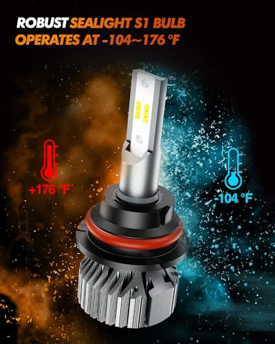 9007 Fog Light Bulbs (9007)