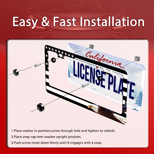 American Flag Eagle License Plate Stainless Steel Parts 12.3" x 6.3" (American flag and eagle)