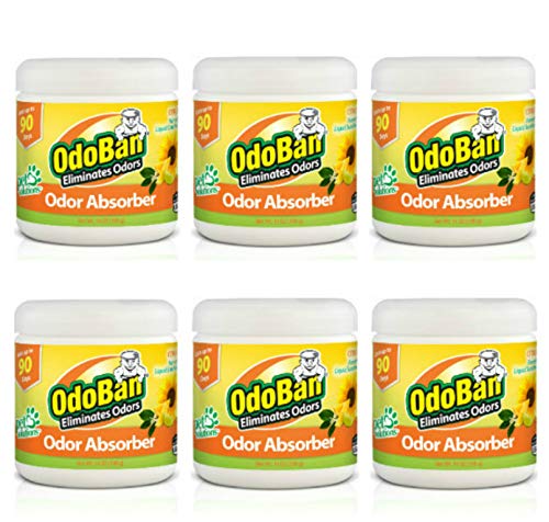Solid Odor Absorber Eliminator for Home and Small Spaces (14 Ounce (Pack of 6))
