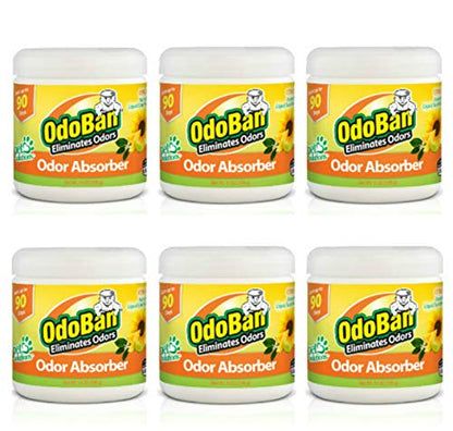 Solid Odor Absorber Eliminator for Home and Small Spaces (14 Ounce (Pack of 6))