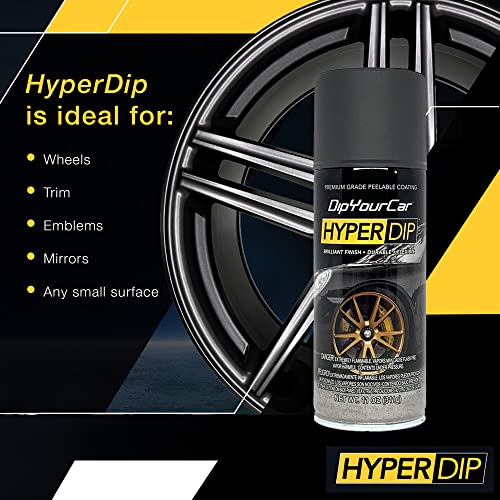 HyperDip Paint (11 Ounce (Pack of 1) / Anthracite Grey)