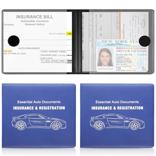 Car Registration and Insurance Card Holder (Lychee pattern Blue)