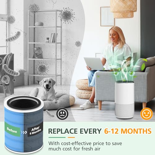 Core 400S Smoke Replacement Filter for LEVOIT Core 400S (Smoke Remover-2 Pack)
