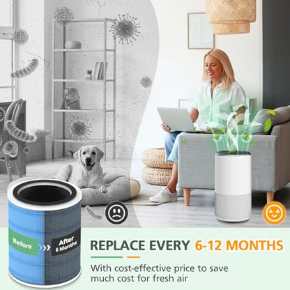 Core 400S Smoke Replacement Filter for LEVOIT Core 400S (Smoke Remover-2 Pack)