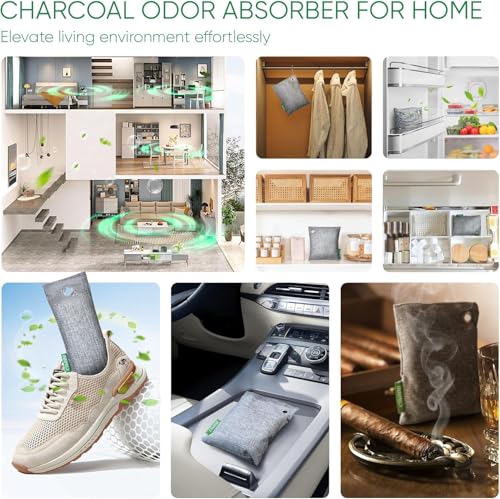Activated Charcoal Odor Absorber (1P 500g Large)
