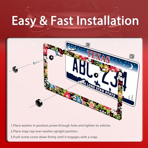 Folk Art Flowers License Plate Frame Funny Colorful License Plate Frames (Folk Art Flowers)