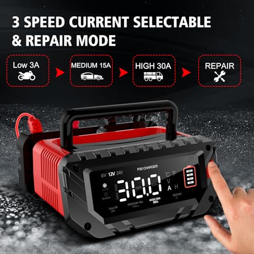 30 Amp Lithium Battery Charger