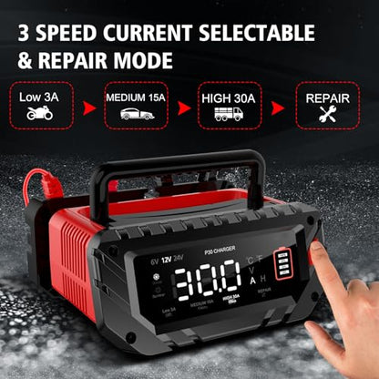 30 Amp Lithium Battery Charger