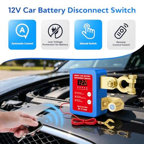 Remote Battery Disconnect Switch 12V (blue)