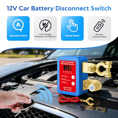 Remote Battery Disconnect Switch 12V (blue)