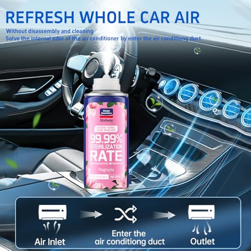Glodway Car Air Freshener Spray (6 Ounce (Pack of 3) / Pink)