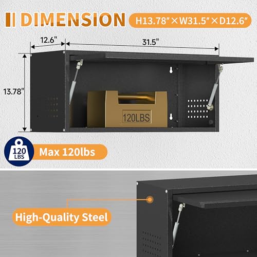 Metal Garage Wall Cabinet with Up (Black / 13.8"H Wall Cabinet(1-Door))