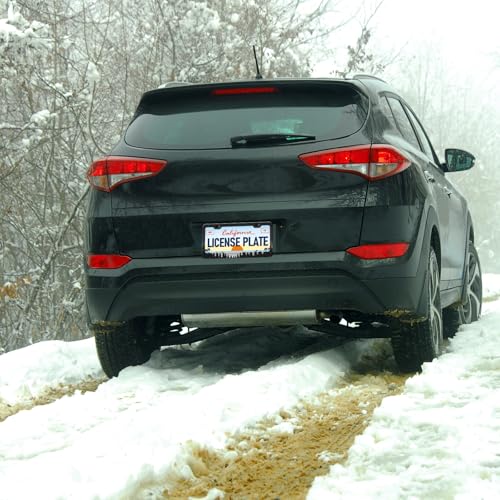 Night Forest License Plate Frames (Night Forest Moon)