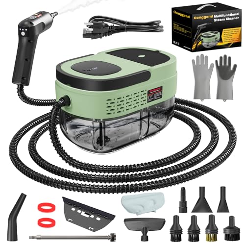 Handheld Steam Cleaner for Home (Light Green / 16PCs)