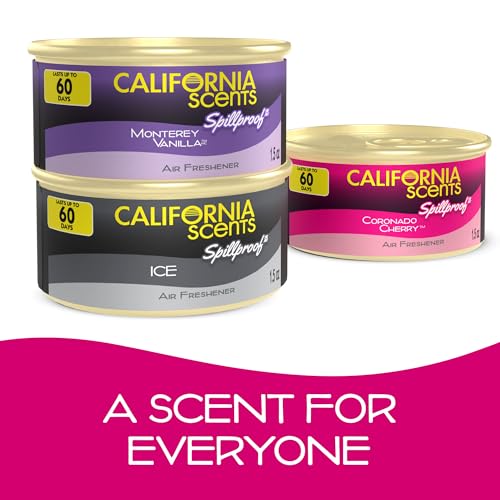 Air Freshener (1 Count (Pack of 12))