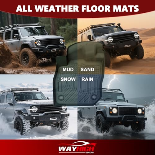 Floor Mats for 2015 (BLACK)