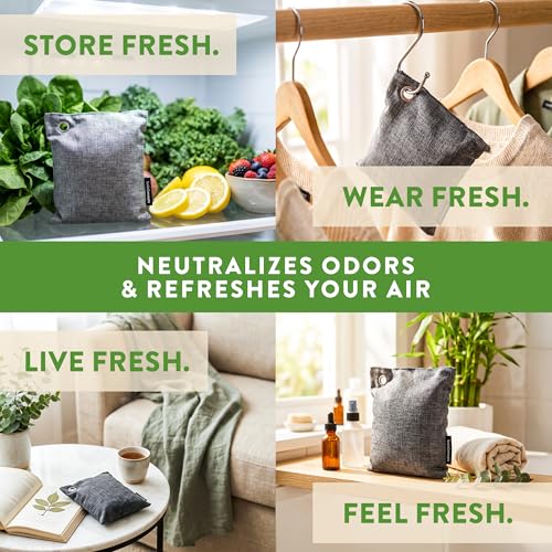 Charcoal Odor Absorber for Strong Odor (1 Count (Pack of 6))