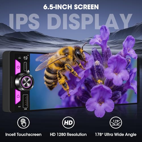 Single Din CarPlay Stereo Receiver (6.5 Inch Car Stereo)
