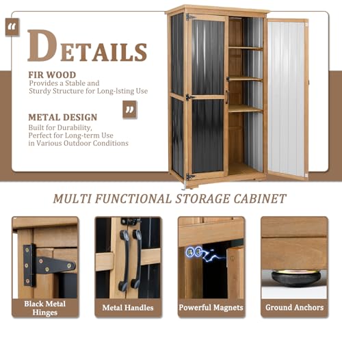 Outdoor Storage Cabinet Weatherproof (Black / 32" x 16" x 66")